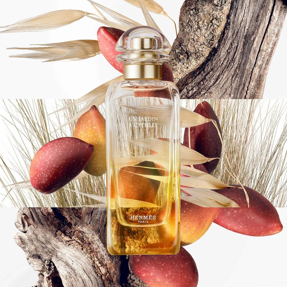 Un Jardin En Mediterranee