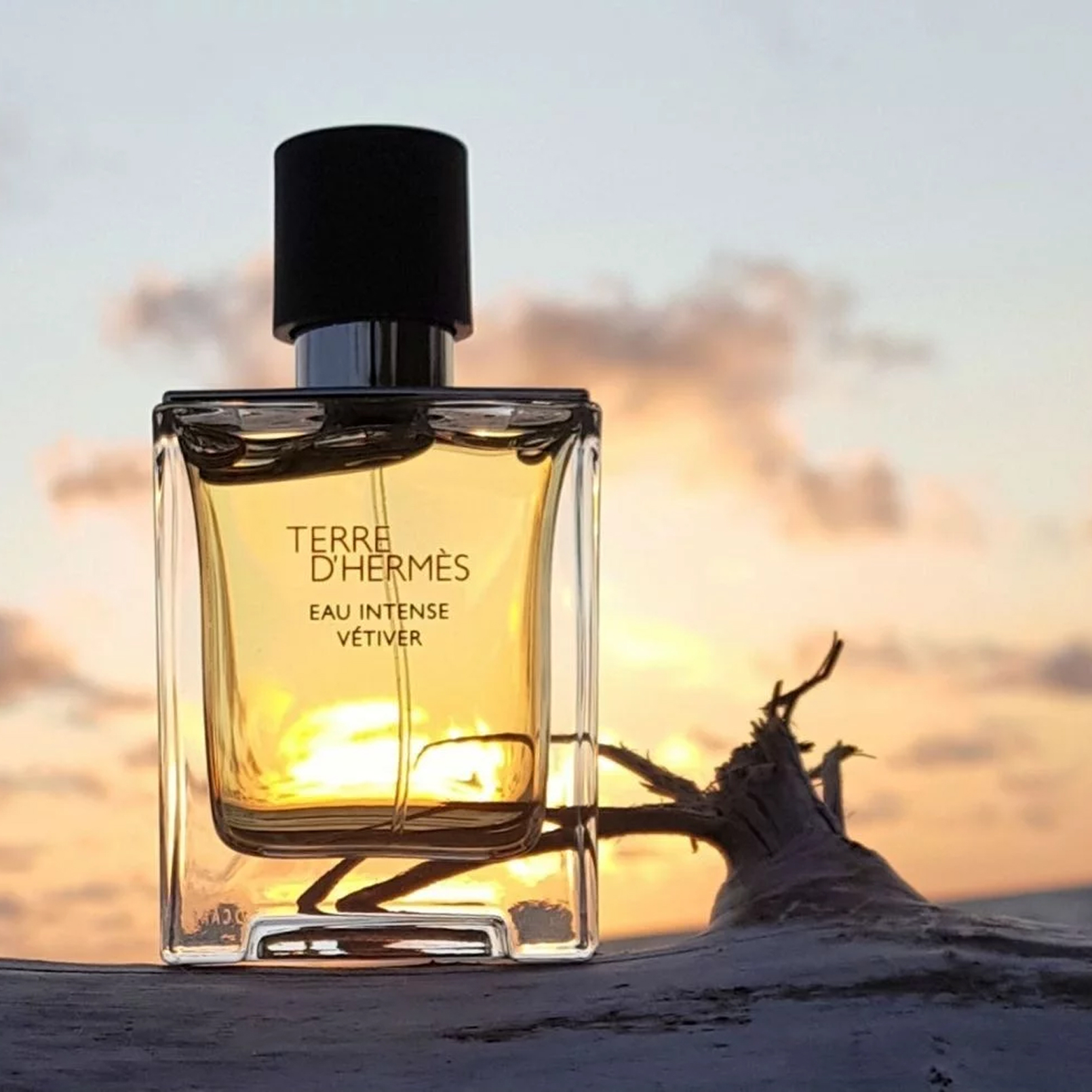 Terre d'Hermès Eau Intense Vétiver